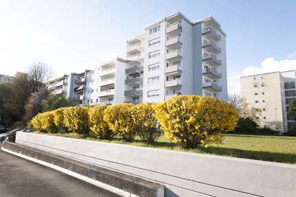 Wohnung zum Kaufen in Neu-Isenburg 240.000,00 € 60 m²