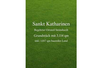 Grundstück zu verkaufen in St. Katharinen 179.000,00 € 3114 m²