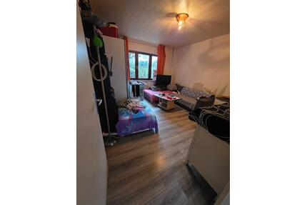 Gemütliche 1-Zimmer-Wohnung im EG – voll möbliert & bezugsfertig - Speyer