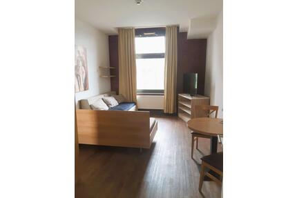 2-Zimmer-Apartment auf der Erba-Insel, möbliert - Bamberg Am Bruderwald