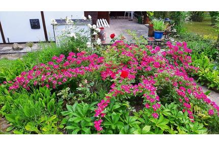 Kleingarten (Gartensparte) - 2.900,00&nbsp;EUR Kaltmiete, ca.&nbsp; 0,00&nbsp;m&sup2; in Görlitz (PLZ: 02828) Klingewalde