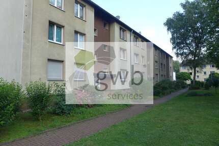 Wohnung zum Mieten in Gelsenkirchen Bulmke-Hüllen 380,00 € 52 m² - Gelsenkirchen / Bulmke-Hüllen
