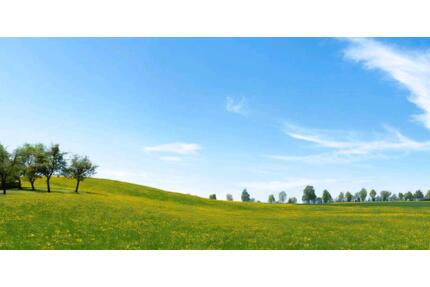 Grünland bei Trulben - 1.000,00&nbsp;EUR Kaltmiete, ca.&nbsp; 0,00&nbsp;m&sup2; in Pirmasens (PLZ: 66955) Niedersimten