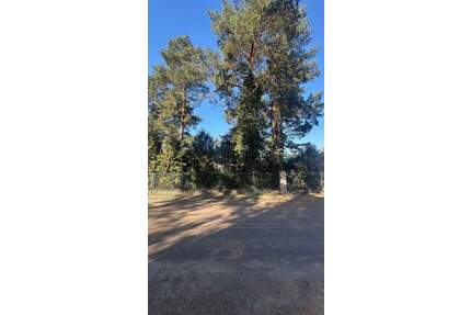 WALDESRUH: Großzügiges Baugrundstück für Ihr Traumhaus - Hoppegarten OT Waldesruh