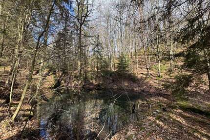 Grundstück zu verkaufen in Bad Münstereifel 135.000,00 € 14700 m²