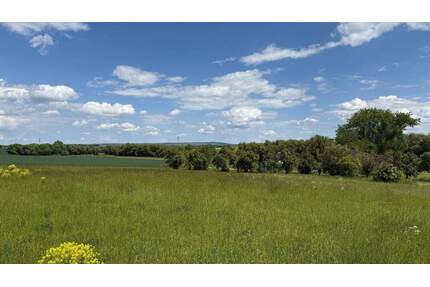 Idyllisch am Ortsrand gelegen - 105.400,00&nbsp;EUR Kaufpreis, ca.&nbsp; 0,00&nbsp;m&sup2; in Arnstadt (PLZ: 99310) Marlishausen