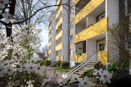 Kompakte 2-Raum-Wohnung mit offener Küche - Halle (Saale) Westliche Neustadt