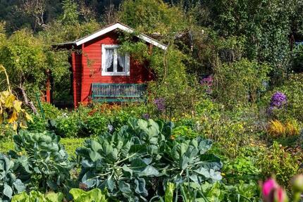 SchrebergartenKleingarten zur Pacht in Freyung und Umgebung - Vilsbiburg