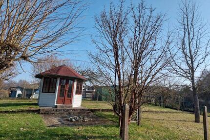 Gartengrundstück zu vermieten - 50,00&nbsp;EUR Kaltmiete, ca.&nbsp; 0,00&nbsp;m&sup2; in Staufenberg (PLZ: 35460)