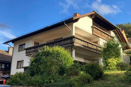 Tolle frisch renovierte Wohnung mit sep. Eingang in Eberbach