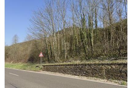 531QM EXKLUSIVES MOSELGOLDSTÜCK IN BESTLAGE - Bullay