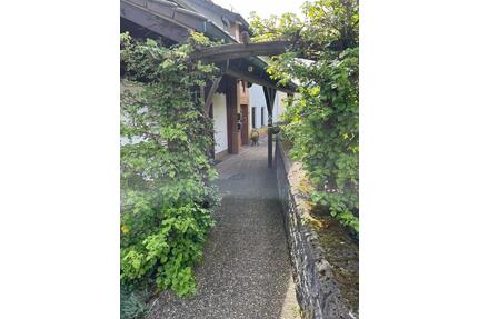 Das Beste für jede Jahreszeit: Große Wohnung mit Kamin & Garten - Gersfeld (Rhön)
