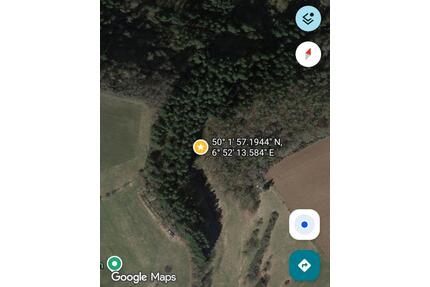 Verpachte knapp 2000m² Waldfläche bei Plein - Osann-Monzel