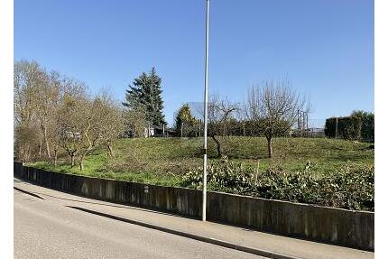 BAUPLATZ FÜR EIN MEHRFAMILIENHAUS - Walzbachtal