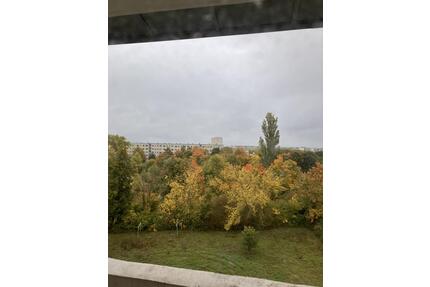 optimal aufgeteilte 3 Zimmerwohnung - Halle (Saale) Nietleben