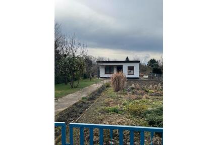 Pachtgarten aus Altersgründen abzugeben - Spremberg