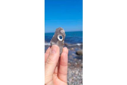 Insel Rügen 2026 - Urlaub mit Hund - Sagard