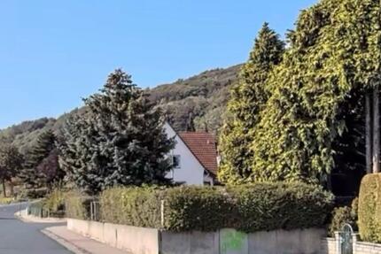 Einfamilienhaus - 320.000,00&nbsp;EUR Kaufpreis, ca.&nbsp; 116,00&nbsp;m&sup2; in Springe (PLZ: 31832)