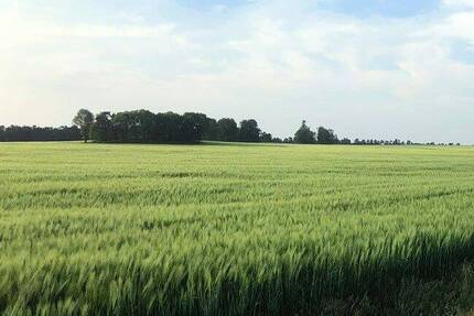 547 m² Baugrundstück für ein Einfamilienhaus (Grundstück 06) - Wiesenburg/Mark