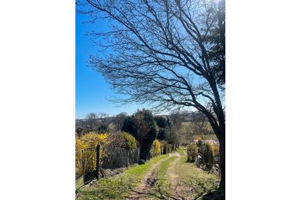Gartengrundstück zu verpachten - 60,00&nbsp;EUR Kaltmiete, ca.&nbsp; 0,00&nbsp;m&sup2; in Teterow (PLZ: 17166)