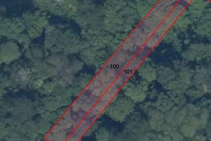 Waldfläche in der Gemarkung Saffig - Bad Neuenahr-Ahrweiler