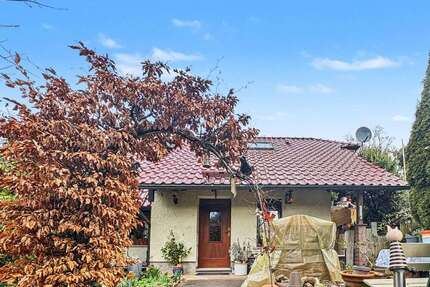 Haus zum Kaufen in Mansfeld 64.500,00 € 65 m²