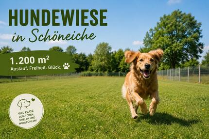 Wiese Freifläche, eingezäunt, Hundeauslauf & Freizeitgestaltung - Schöneiche bei Berlin