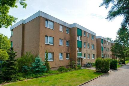 Renovierte 3-Zimmer-Wohnung in Haste frei! - Osnabrück Eversburg