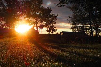 Ferienhof Letsch: »Feldblick« auf dem Lande - Wankendorf