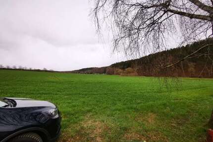 Grundstück zum Mieten in Mülsen 1.590,00 € 850 m²