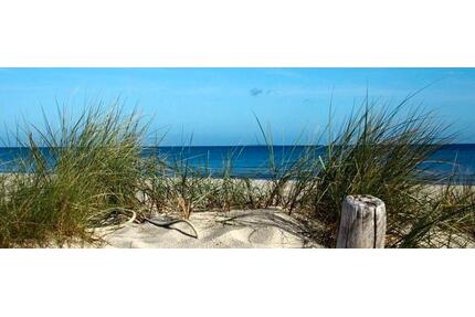 Top Ferienwohnung Ostsee 5.07.- 25.07 frei Usedom - Koserow