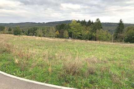 Grundstück zu verkaufen in Glashütten 330.000,00 € 600 m²