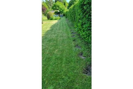 Garten in Duderstadt, Nähe LNS-Gelände