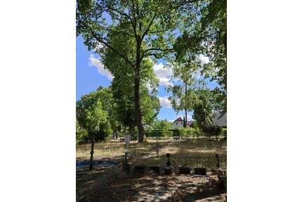 Grundstück zu verkaufen in Falkensee 398.500,00 € 1053 m²