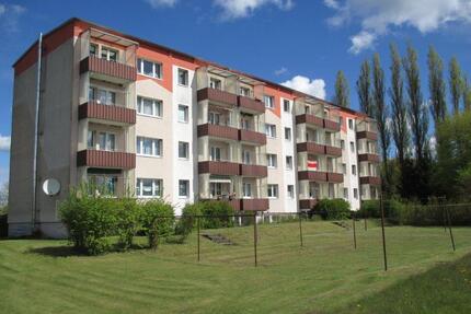 Frisch sanierte 4-Zimmer-Wohnung in Viereck – Zuhause im Grünen - Pasewalk