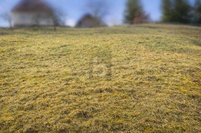 NATURNAH BAUEN IN BAIERSBRONN - 75.000,00&nbsp;EUR Kaufpreis, ca.&nbsp; 550,00&nbsp;m&sup2; in Baiersbronn (PLZ: 72270)