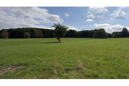 Grundstück in Kircheib Neuenhof 24.000,00 € 4117 m² - Kircheib / Neuenhof