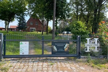 2 - Zimmerwohnung in Michaelisbruch - Neustadt (Dosse)