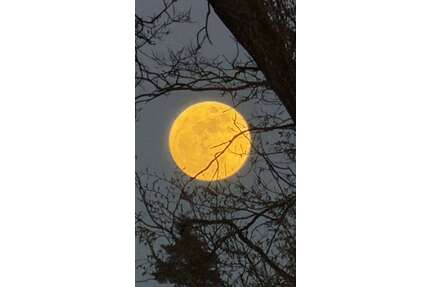 Wohnung zum Mieten in Schwarzenbruck 990,00 € 90 m²