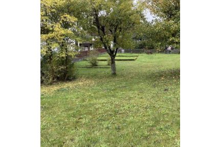 Grundstück zu verkaufen in Mainhausen 290.000,00 € 300 m²