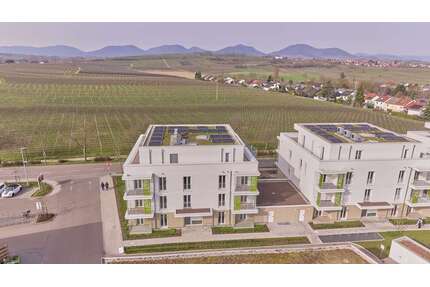 Wohnung zum Mieten in Landau 1.300,00 € 107.84 m²