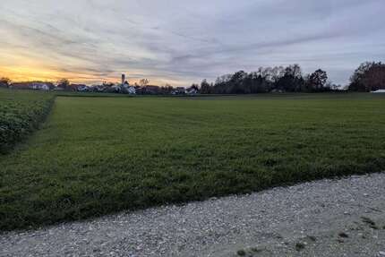 Grundstück in Thannhausen, OT Burg 240.000,00 € 27879 m²