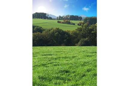 Haus zum Kaufen in Buchholz 697.000,00 € 180 m²