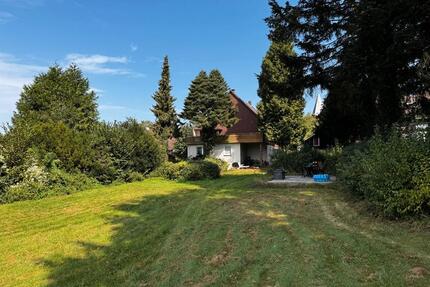 Badenhausen top renov. 3 Zi-Whg ca. 150m² mit 60m² Dachterrasse - Bad Grund (Harz)