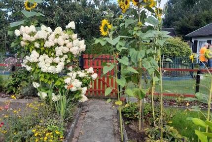 Kleingarten „Verbindungsweg“ - 4.750,00&nbsp;EUR Kaltmiete, ca.&nbsp; 0,00&nbsp;m&sup2; in Rostock (PLZ: 18146) Alt Bartelsdorf