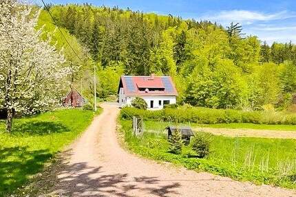 Hier sagen sich Fuchs & Hase gute Nacht... hochwertiges Einfamilienhaus in idyllischer Lage! - Altenberg Bärenstein
