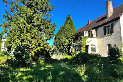 Haus zum Kaufen in Hahnheim 598.500,00 € 290 m²