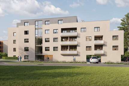 Wohnung zum Kaufen in Bergheim Glessen 291.965,00 € 52.63 m²