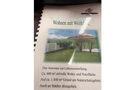EFH, Villa mit 600m2 Wohn-Nutzfläche, Schwimmbad ect. - Wülfrath
