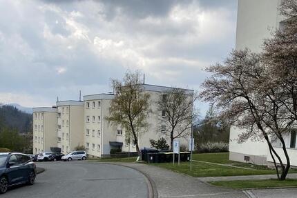 2 Zimmer Wohnung in Meschede ab sofort verfügbar.